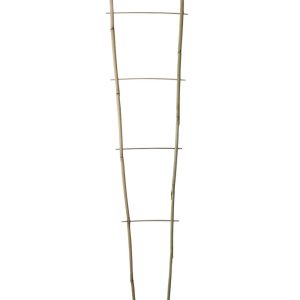 ECHELLE BAMBOO
