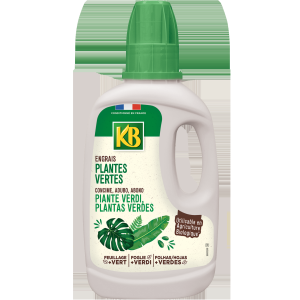 Engrais plantes vertes 500ml