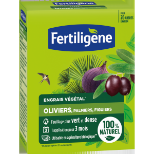 Fertiligène Engrais oliviers, palmiers, figuiers 650g
