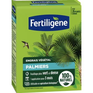 Fertiligène Engrais palmiers 650g