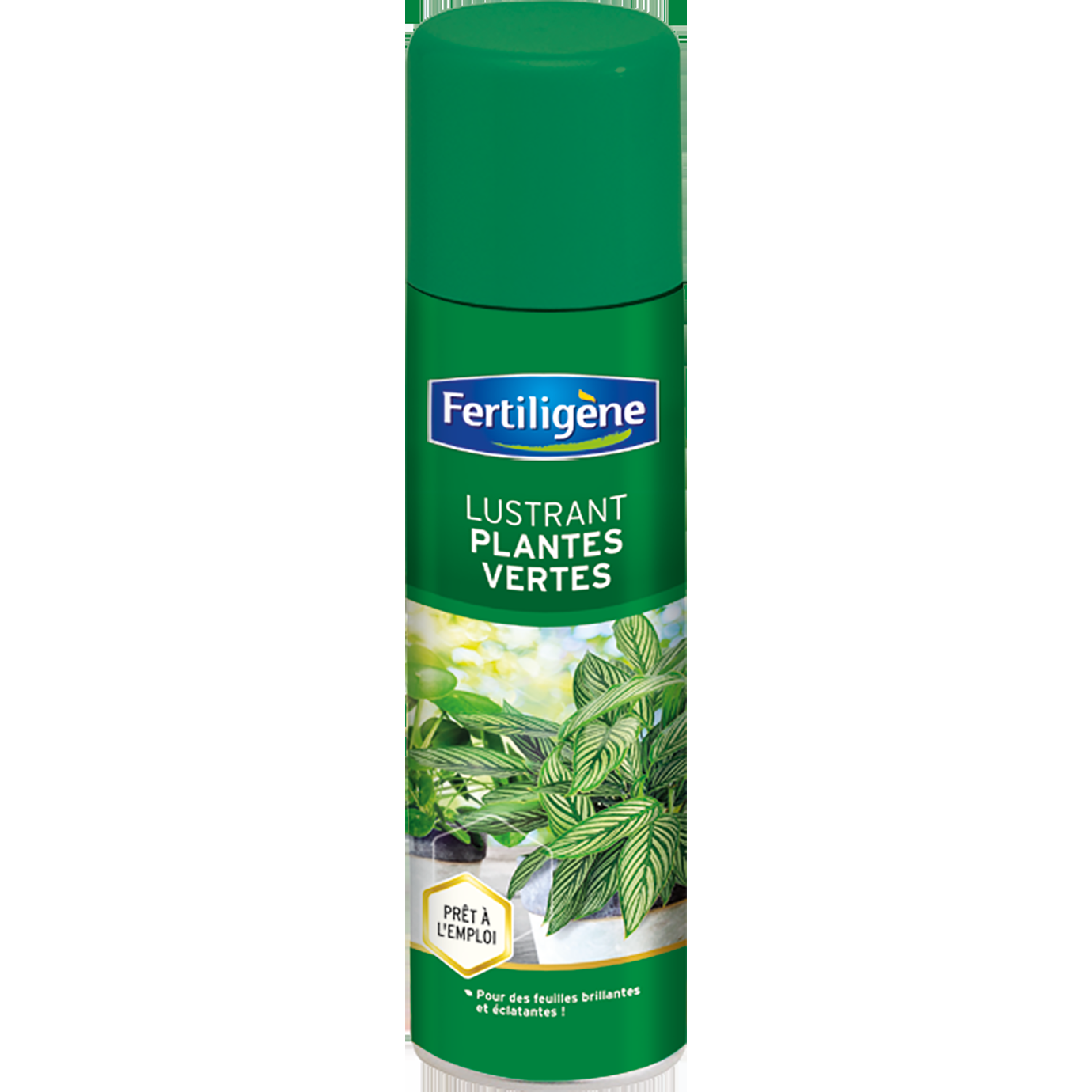 Fertiligène Lustrant Plantes vertes 200ml
