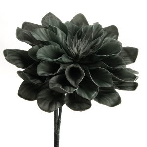 FLEUR BASTIA CHLORO H86