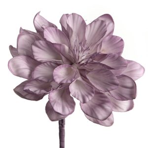 FLEUR BASTIA PARME H86