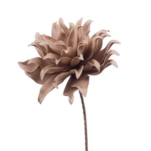 FLEUR VILLA CHAMPAGNE H70