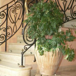 FLORA ROLL AUTOCLAVE CARRE 35CM