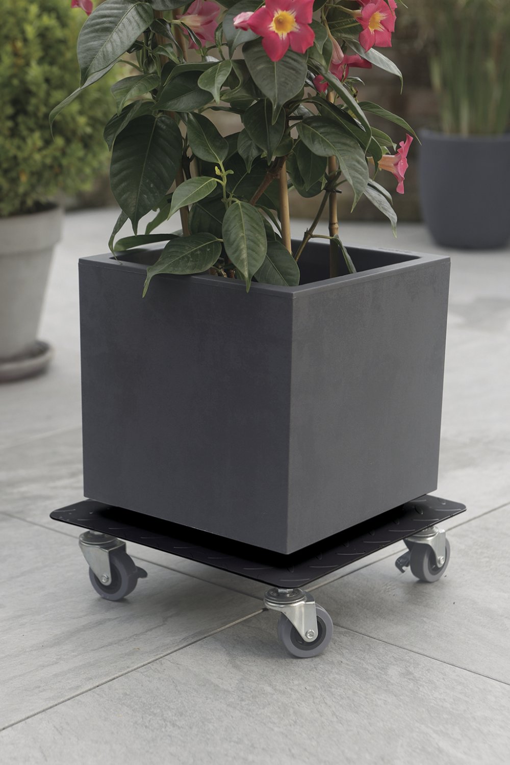 FLORA ROLL FACTORY ROND D30CM – Image 2
