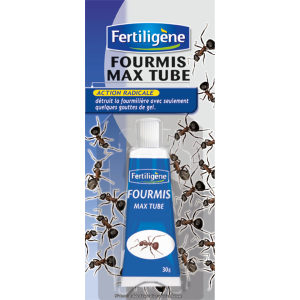 Fourmis tube 20g