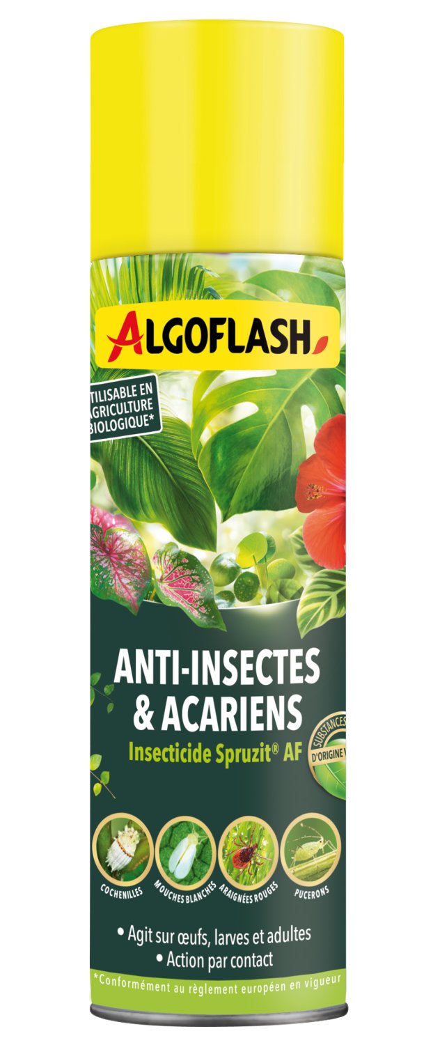 Insecticide Plantes d'intérieur - Aérosol 200 mL