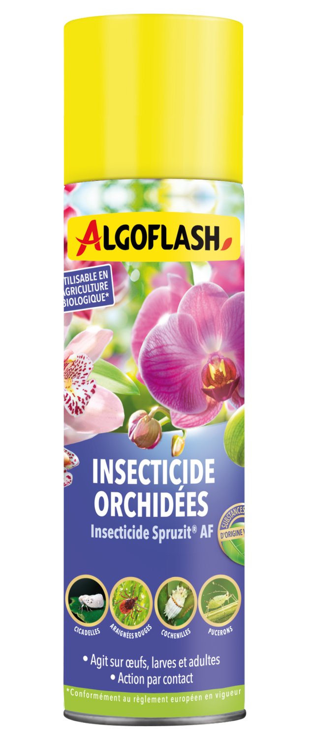 Insecticide Spécial Orchidées - Aérosol 200 mL