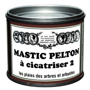 Mastic à cicatriser