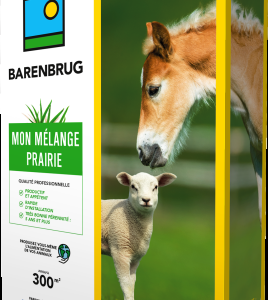 Mon Mélange prairie