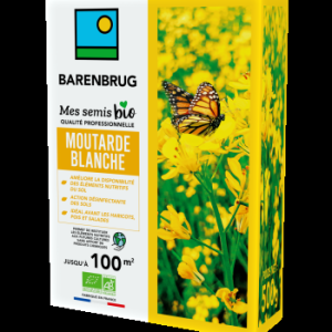Moutarde Blanche 500g