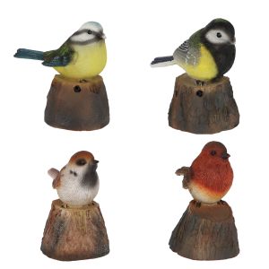 Oiseaux d’accueil H10CM