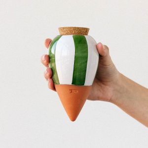 OLLA RAYE VERT BLANC