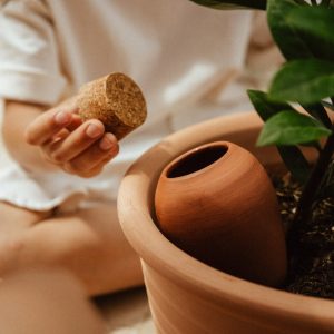 OLLA TERRACOTTA