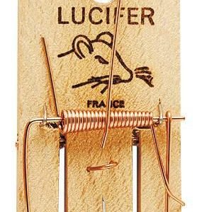 PIEGE RAT SOCLE BOIS