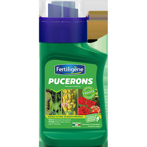 Pucerons 250ml