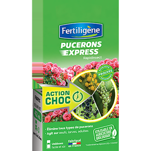 Rapidinsect pucerons et pyrales du buis 3x14ml