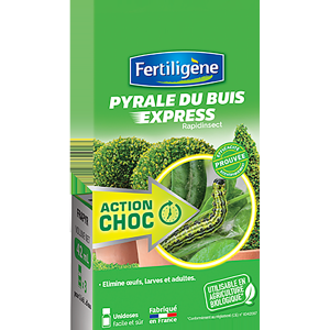 Rapidinsect pucerons et pyrales du buis