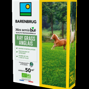 Ray Grass Anglais 250g