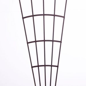 ROYAL TRELLIS