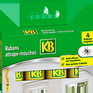 Rubans attrape-mouches