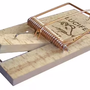 TAPETTE RAT SOCLE BOIS