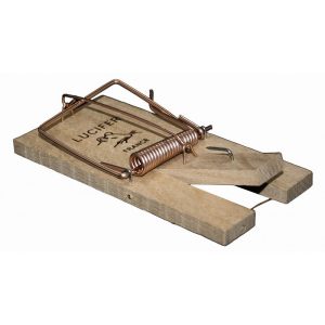 TAPETTE SOURIS SOCLE BOIS VRAC