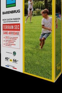 Terrain sec