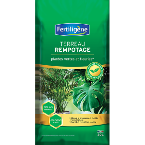 Terreau rempotage plantes vertes et fleuries