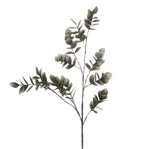 TIGE THEA EUCALYPTHUS H120