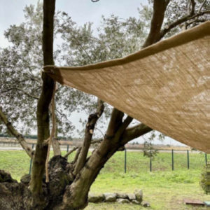 TOILE OMBRAGE TRIANGLE JUTE