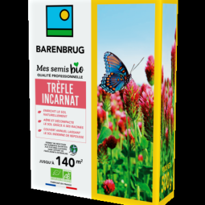 Trèfle Incarnat 500g