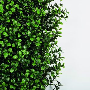VERTICAL BUXUS