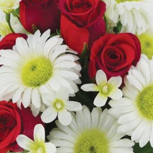 BOUQUET BULLE H34DM33CM