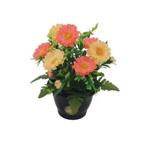 COUPE H25 DM23 COULEURS MELANGEES