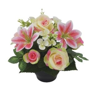 COUPE H29 DM27 COULEURS MELANGEES