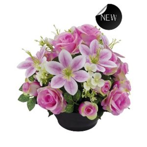 COUPE H32 DM37LAVANDE