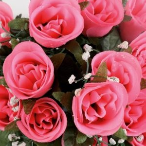 COUPE VIOLETTE ET ROSE DM27