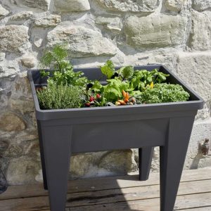 Espace potager VEG&Table™ « MAX » Anthracite