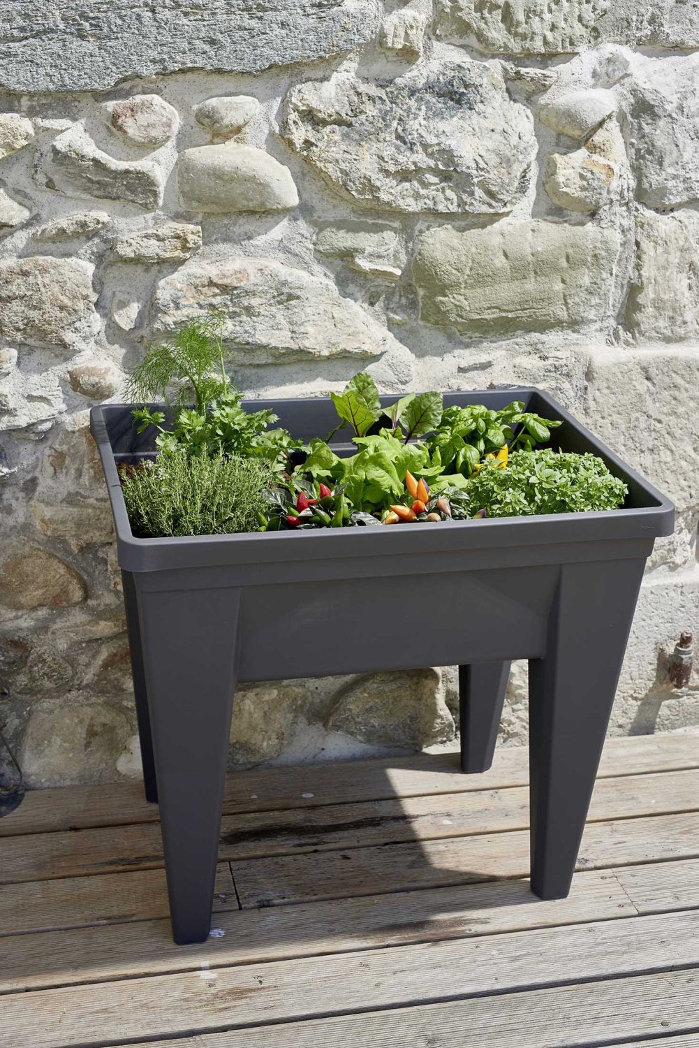 Espace potager VEG&Table™ "MAX" Anthracite – Image 2