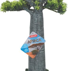 AFRICA BAOBAB L