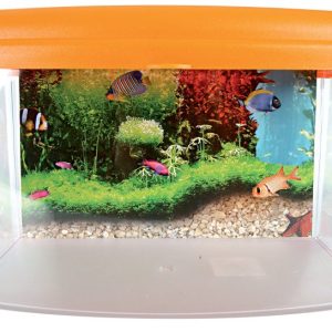 AQUA TRAVEL BOX II