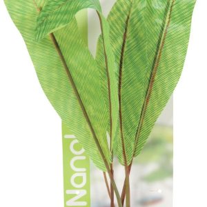 DECO NATURE NO3