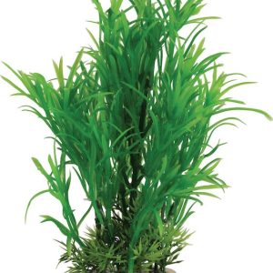 DECOR PLANTE MEDIUM T1 ASS