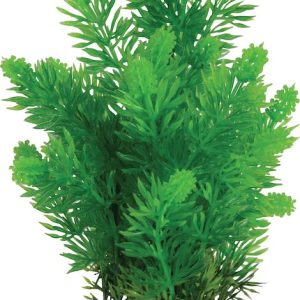 DECOR PLANTE MEDIUM T1 ASS