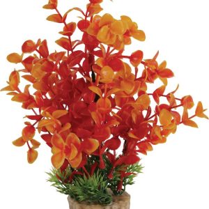 DECOR PLANTE MEDIUM T2 ASS