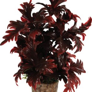 DECOR PLANTE MEDIUM T2 ASS