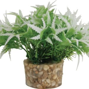 DECOR PLANTE SMALL T1 ASS