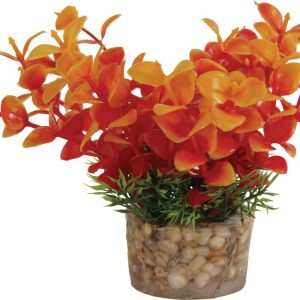 DECOR PLANTE SMALL T2 ASS